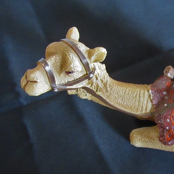 Camel good shape - Picture 8 of 11